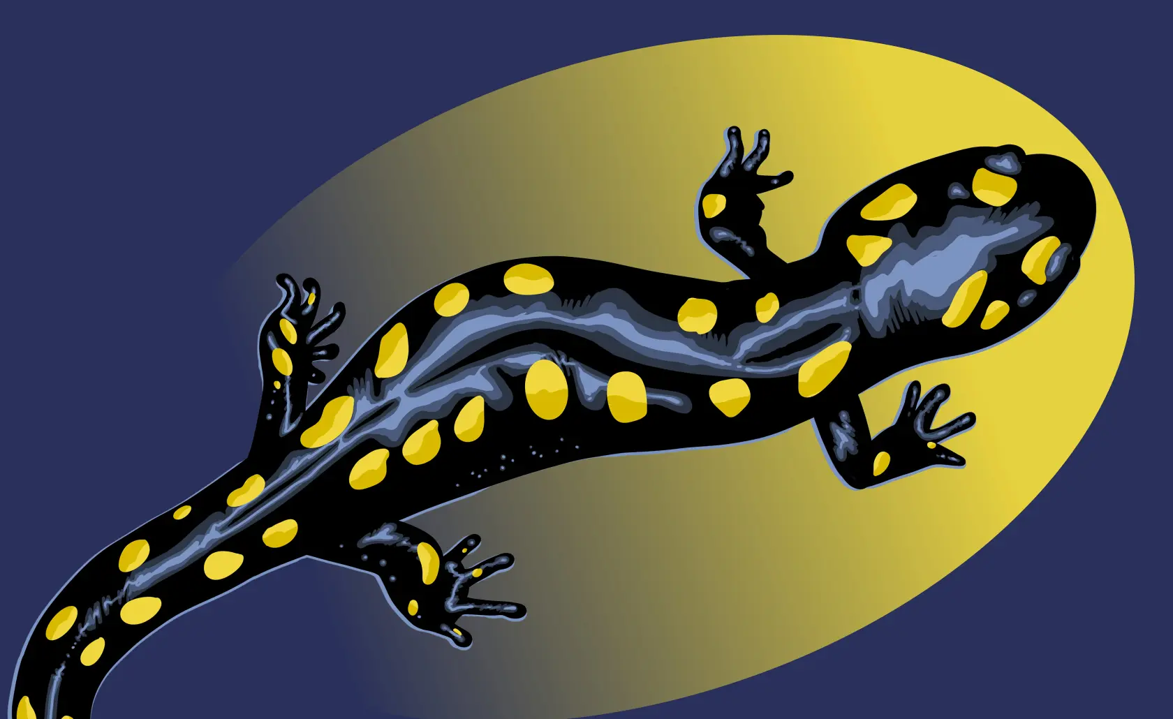 kul_26_key_visual_website_1680x1030px-v2__extrewritewyjqcgcilcj3zwjwil0_fillwze2odasmtazmf0.webp kul_26_key_visual_website_1680x1030px-v2__extrewritewyjqcgcilcj3zwjwil0_fillwze2odasmtazmf0.webp